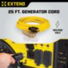 Champion Generator Extension Cord with 1-Year Warranty - 3