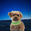 Nite Ize NiteDog Green Rechargeable LED Collar Size Small NDCRS-17-R3 - 1