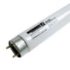 Werker 32W T8 48 Inch Daylight 2 Pin Fluorescent Tube Light Bulb - 2