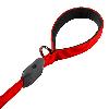 Nite Ize NiteDog Rechargeable LED Leash - 2