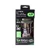 Batteries Plus Retro Lamp with String Lights - 3