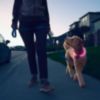 Nite Ize NiteHowl Rechargeable LED Safety Necklace – Pink - 5