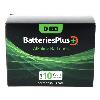 Batteries Plus D Alkaline Battery - 12 Pack - 0