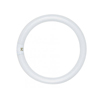 Satco 32W T9 12 Inch Cool White 4 Pin Fluorescent Circline Light Bulb - 0