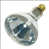Satco 250W E26 Heat Lamp Bulb - 0