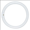 Sylvania 40W T9 16 Inch 4 Pin Cool White Fluorescent Circline Light Bulb - 0