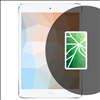 Apple iPad Mini LCD Screen Repair - 0