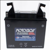 Yuasa 12V 17.7Ah YT19BL-BS Powersport Battery - 1