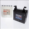 Yuasa 12V 17.7Ah YT19BL-BS Powersport Battery - 2