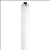 Norman Lamps 60W T12 48 Inch Cool White Fluorescent Tube Light Bulb - 0