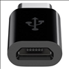 Belkin USB-C to Micro USB Adapter - 1