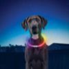 Nite Ize NiteHowl Rechargeable LED Pet Safety Necklace - 3