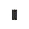 Batteries Plus C Alkaline Battery - 12 Pack - 10