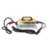XYM 48V 18A Lithium Golf Cart Battery Charger - 7