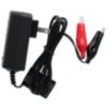 Werker 6V 1 Amp Automatic AGM SLA Charger - 2