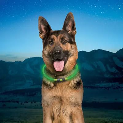 Nite Ize NiteHowl Rechargeable LED Safety Necklace – Green