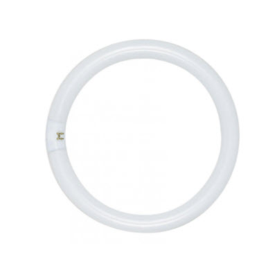 Satco 32W T9 12 Inch Cool White 4 Pin Fluorescent Circline Light Bulb - Main Image