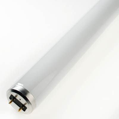 Sylvania 15W 18 Inch 2 Pin Cool White Fluorescent Tube Light Bulb