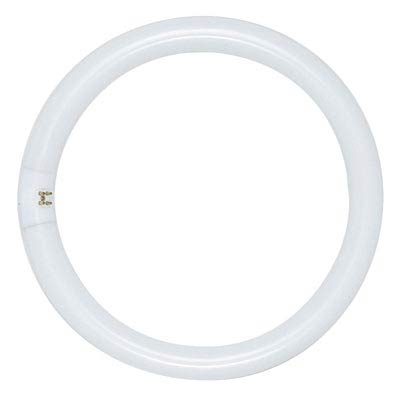 Sylvania 40W T9 16 Inch 4 Pin Cool White Fluorescent Circline Light Bulb - Main Image