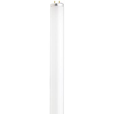 Duracell Ultra 41W T12 Cool White 48 Inch 2 Pin Fluorescent Tube Light Bulb
